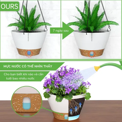 🌸 Chậu Cây Treo Ban Công Đẹp Mê Ly: Biến Ban Công Nhỏ Thành Vườn Xinh.