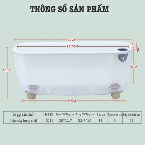 🏡 Chậu Cây Để Bàn: Mang Thiên Nhiên Vào Không Gian Của Bạn.