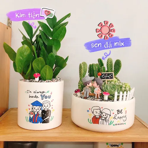 Chậu Cây Để Bàn Đẹp Tự Nhiên - Mang Lại Không Gian Xanh Mát.