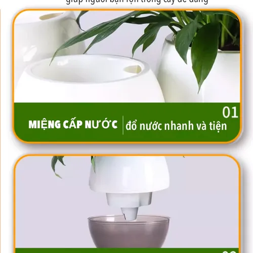 Chậu Cây Để Bàn Mini: Decor Bàn Làm Việc, Góc Học Tập Siêu Xinh.