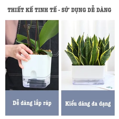 🌿 Chậu Cây Để Bàn Đẹp – Bí Quyết Mang Lại Không Gian Xanh Mát, Thư Giãn.