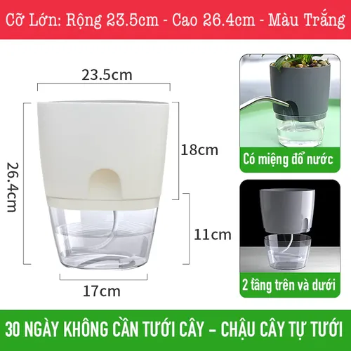 Chậu Cây Để Bàn Độc Đáo – Quà Tặng Ý Nghĩa Cho Người Thân & Đồng Nghiệp.