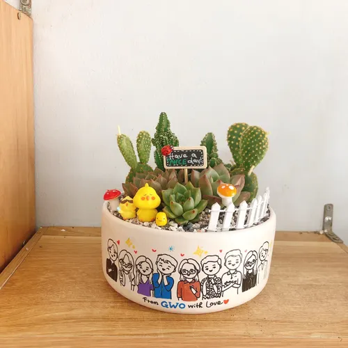 Chậu Cây Để Bàn Đẹp Tự Nhiên - Mang Lại Không Gian Xanh Mát.