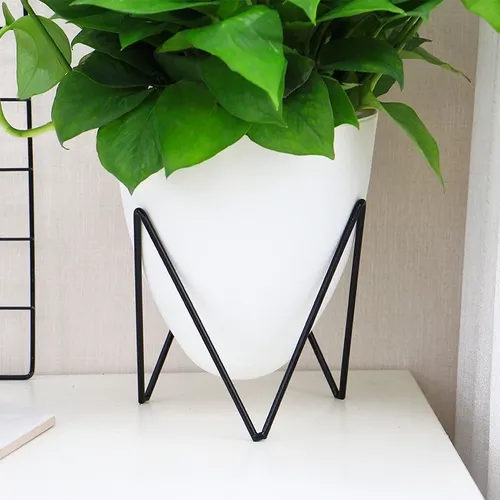 🌱 Chậu Cây Nhỏ Để Bàn – Điểm Nhấn Xanh Mát Cho Không Gian Sống Hiện Đại.