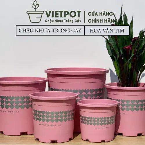 Chậu Cây Nhựa VIETPOT Màu Hồng - Tô điểm cho không gian nhà bạn thêm lãng mạn!