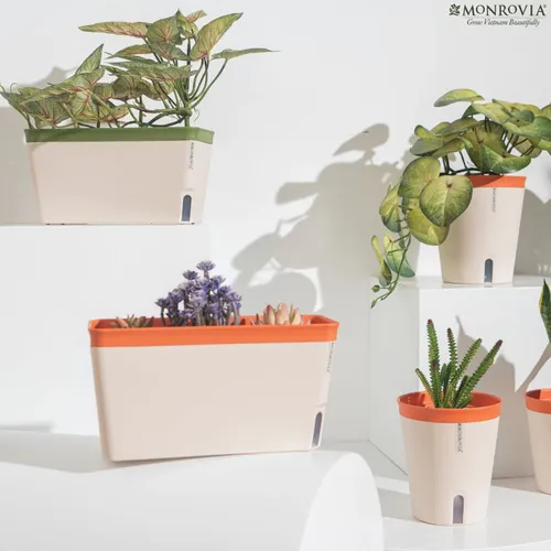 🌼Chậu Nhựa Trồng Cây cao cấp Monrovia Tự Tưới – Phong Cách Nhật Bản Sang Trọng, Trang Trí Nhà & Văn Phòng.