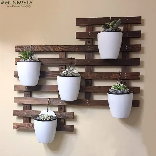 Chậu Treo Ban Công MONROVIA Xinh Xắn - Tô Điểm Không Gian Sống Của Bạn.