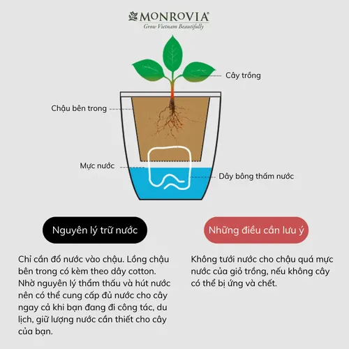 🌸Chậu Ban Công Tự Tưới- K01 MONROVIA- Tô Điểm Không Gian Sống.