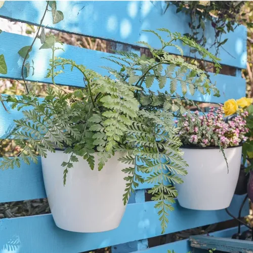 Chậu Treo Ban Công MONROVIA Xinh Xắn - Tô Điểm Không Gian Sống Của Bạn.