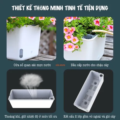 🌿 Chậu Treo Ban Công: Biến Hóa Ban Công Nhỏ Thành Vườn Xanh Mát.
