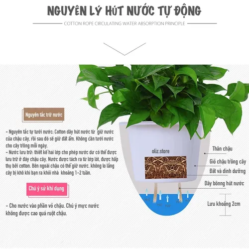 Chậu Cây Treo Ban Công-  Không Gian Xanh Lãng mạn.