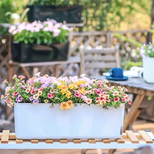 🌿 Chậu Treo Ban Công: Biến Hóa Ban Công Nhỏ Thành Vườn Xanh Mát.