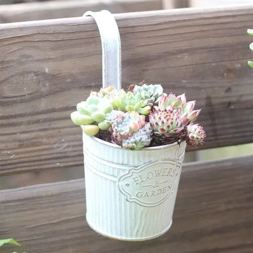 🌳Chậu Treo Ban Công Phong Cách Vintage - Điểm Nhấn Độc Đáo và Thu Hút!