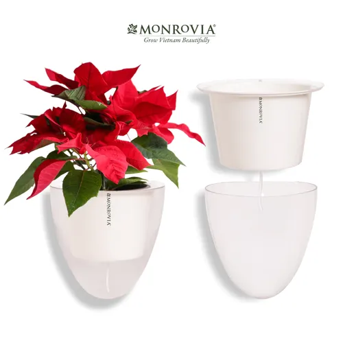 🌸Chậu Ban Công Tự Tưới- K01 MONROVIA- Tô Điểm Không Gian Sống.