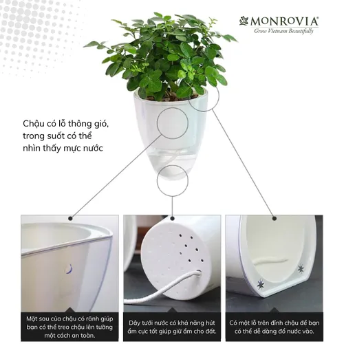 🌸Chậu Ban Công Tự Tưới- K01 MONROVIA- Tô Điểm Không Gian Sống.