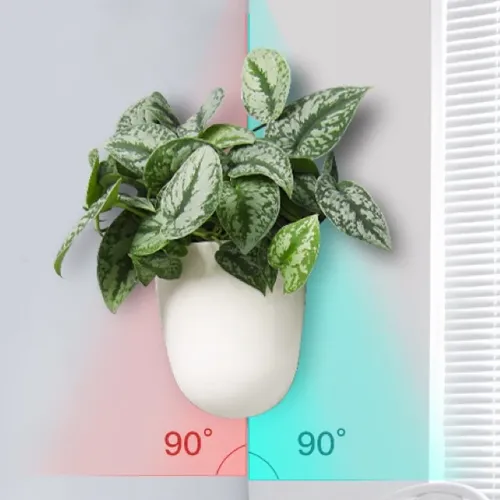 🌻 Chậu Nhựa Treo Tường: Nhẹ Bền, Tiết Kiệm Diện Tích, Trang Trí Cực Xinh.