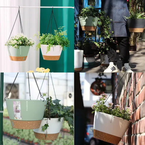 🌸 Chậu Cây Treo Ban Công Đẹp Mê Ly: Biến Ban Công Nhỏ Thành Vườn Xinh.