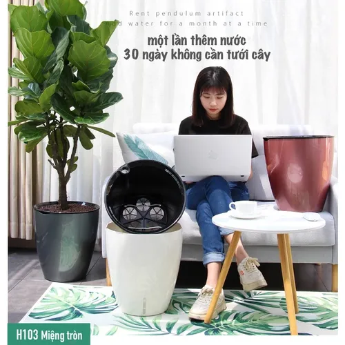 🌞 Chậu Cây Cảnh Đẹp, Thông minh,  Ấn Tượng.