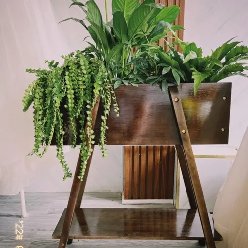 Chậu Gỗ Trồng Cây Cao Cấp – Điểm Nhấn Xanh Cho Ngôi Nhà Của Bạn.