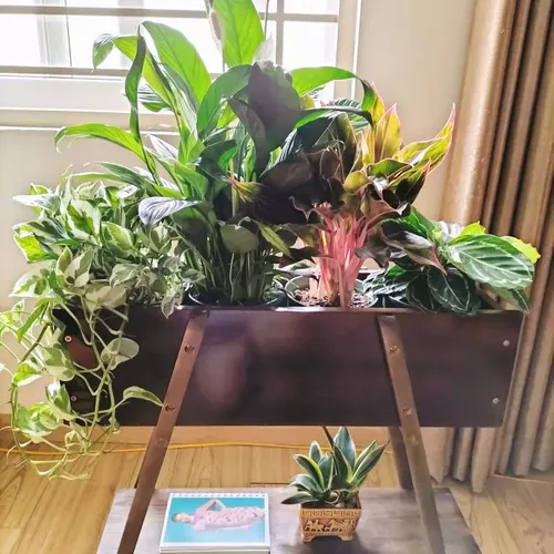 Chậu Gỗ Trồng Cây Cao Cấp – Điểm Nhấn Xanh Cho Ngôi Nhà Của Bạn.