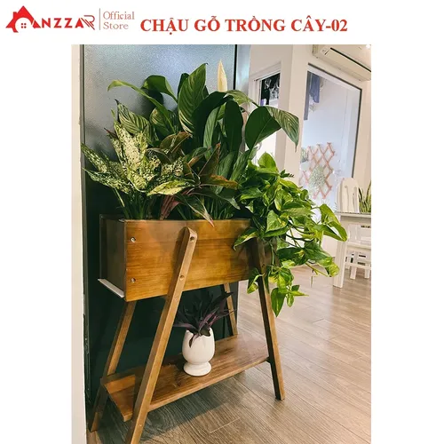 Chậu Gỗ Trồng Cây Cao Cấp – Điểm Nhấn Xanh Cho Ngôi Nhà Của Bạn.