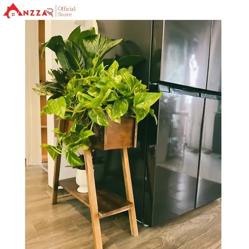 Chậu Gỗ Trồng Cây Cao Cấp – Điểm Nhấn Xanh Cho Ngôi Nhà Của Bạn.