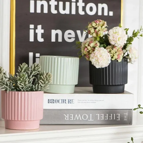 🌺 Chậu Gốm Sứ Trồng Cây Mini Để Bàn | Decor Xinh Xắn, Tinh Tế.