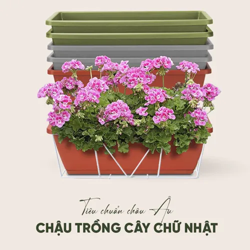 Chậu Nhựa Trồng Cây Hình Chữ Nhật Monrovia Kèm Giỏ Treo – Sang trọng-Bền-Đẹp.