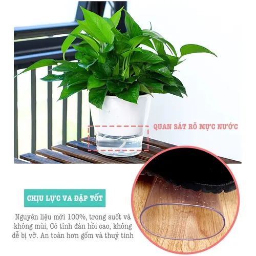 🌿 Chậu Cây Để Bàn Thông Minh – Tự Tưới Nước, Dễ Chăm Sóc.