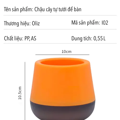 Chậu Cây Để Bàn Dễ Chăm Sóc – Tiết Kiệm Thời Gian.