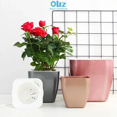 Chậu Hoa Mini Để Bàn: Quà Tặng Nhỏ Xinh, Ý Nghĩa Lớn.