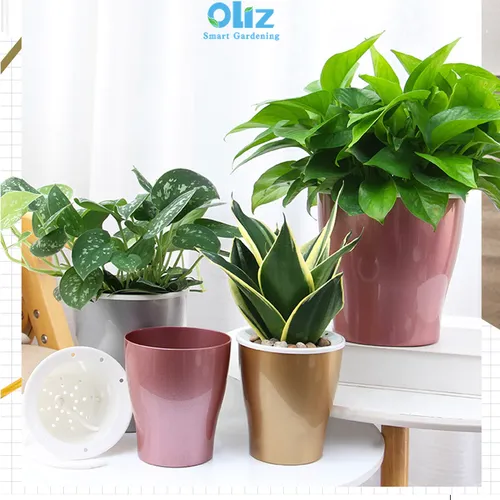 Chậu Hoa Nhỏ Để Bàn – Biến Mọi Góc Nhỏ Thành Không Gian Xanh Mát.