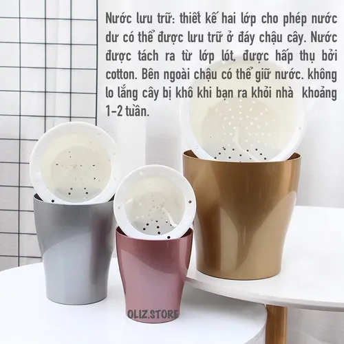 Chậu Hoa Nhỏ Để Bàn – Biến Mọi Góc Nhỏ Thành Không Gian Xanh Mát.