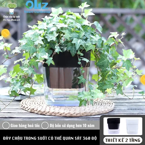 [HOT] Chậu Hoa Để Bàn Đẹp: Trang Trí Bàn Làm Việc, Góc Sống Tinh Tế.