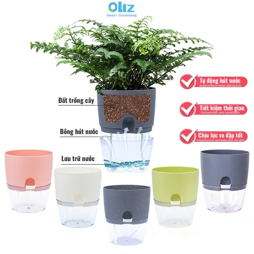 Chậu Cây Nhỏ Để Bàn: Xanh Mát Góc Làm Việc, Trang Trí Tinh Tế.