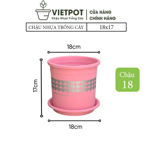 Chậu Cây Nhựa VIETPOT Màu Hồng - Tô điểm cho không gian nhà bạn thêm lãng mạn!