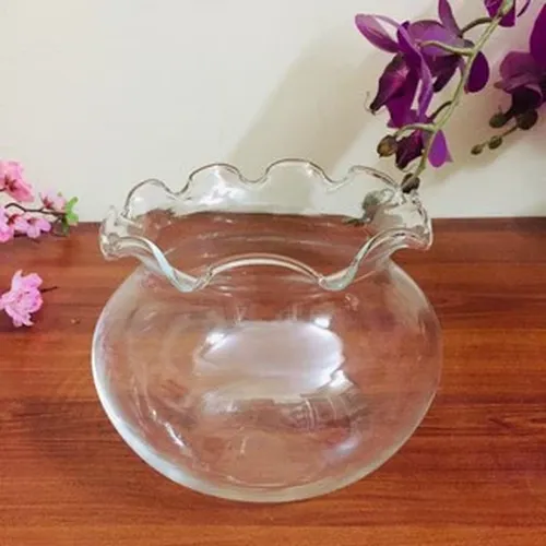 Chậu hoa thủy tinh – Hồ cá mini, bể cá miệng bèo tinh tế cho không gian sống hiện đại