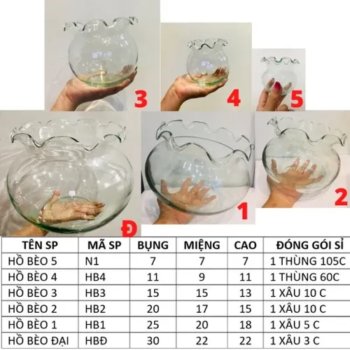 Chậu hoa thủy tinh – Hồ cá mini, bể cá miệng bèo tinh tế cho không gian sống hiện đại