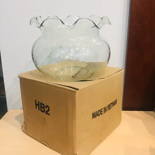 Chậu hoa thủy tinh – Hồ cá mini, bể cá miệng bèo tinh tế cho không gian sống hiện đại