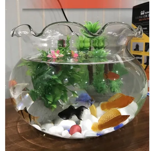 Chậu hoa thủy tinh – Hồ cá mini, bể cá miệng bèo tinh tế cho không gian sống hiện đại