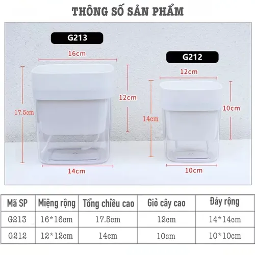 [HOT] Chậu Hoa Để Bàn Đẹp: Trang Trí Bàn Làm Việc, Góc Sống Tinh Tế.