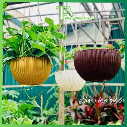 🧑‍🌾Chậu Hoa Treo Ban Công Vân Sọc Cao Cấp- Khám Phá Vẻ Đẹp TINH TẾ!