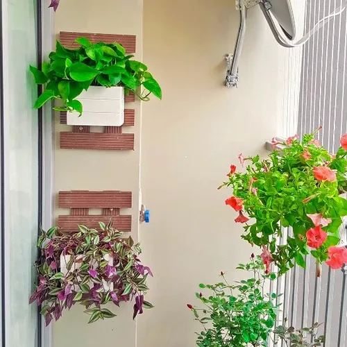 😱 CHẬU TREO BAN CÔNG Mẫu Mới: Hàng Xóm Phải Trầm Trồ Vì Ban Công Quá Đẹp!