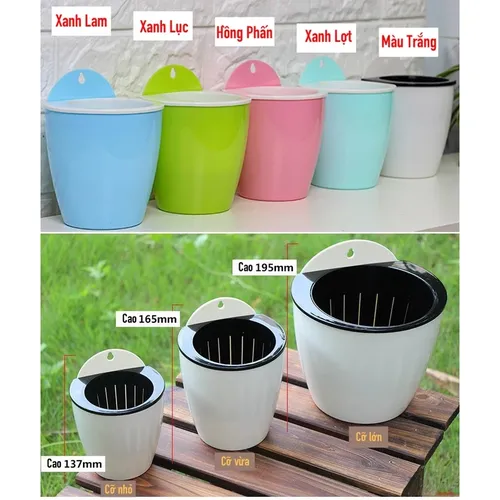 👍 Chậu Treo Tường: Tiết Kiệm Không Gian, Trang Trí Nhà Cực Đẹp.