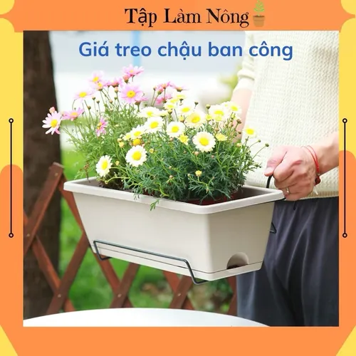 Chậu Nhựa Trồng Cây Ban Công- Biến Ban Công Thành Vườn Xanh mát.