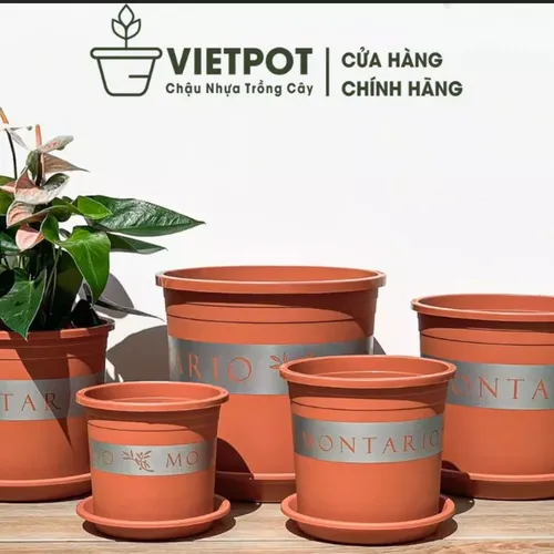 Chậu Cây Cảnh Nhựa VIETPOT, Màu Cam - Đưa Sắc Màu Tươi Mới Vào Không Gian Sống.