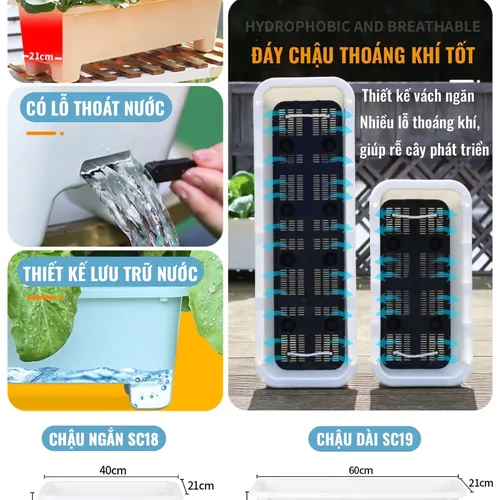 🌱 Chậu Trồng Rau Tự tưới – Dễ Dàng Trồng Rau Tại Nhà.