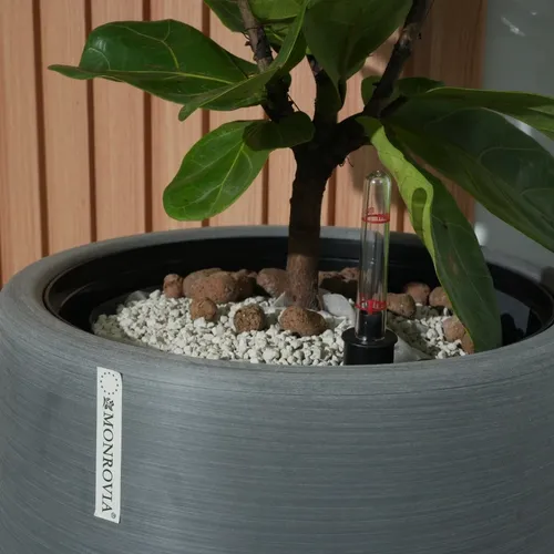 🌼Chậu Nhựa Tròn Trồng Cây Cỡ Lớn ZX Monrovia Premium – Chậu Tự Tưới Thông Minh.