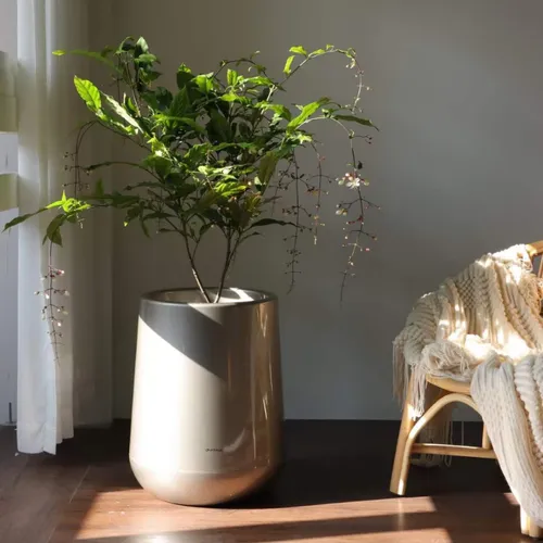 🌼Chậu Nhựa Tròn Trồng Cây Cỡ Lớn ZX Monrovia Premium – Chậu Tự Tưới Thông Minh.