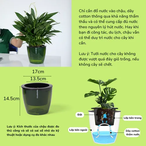 ✨ Combo Chậu Nhựa Nhỏ Xinh Xắn: Trang Trí Góc Yêu Thêm Sinh Động.